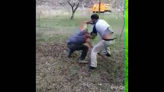 Arxili Qulesh