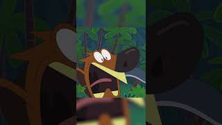 Zig & Sharko Mixed Bodies