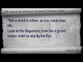 Part 5 - The Last of the Mohicans Audiobook by James Fenimore Cooper (Chs 19-22)