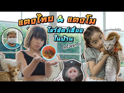 แตงไทย&แตงโม โชว์สัตว์เลี้ยงครั้งแรก I I MissTangDiary