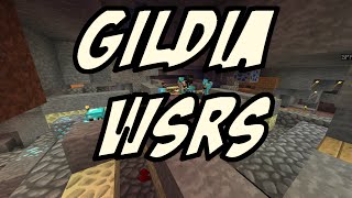 Kamperr Na Hc Poziom Gildi Wsrs