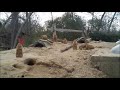 zootube