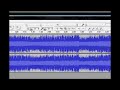 Vocals
