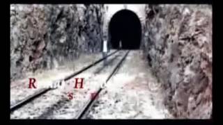 Romat Hamoto Sebra Dila