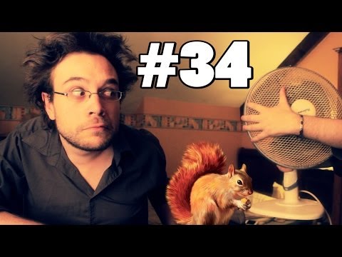 WHAT THE CUT #34 - LIQUIDE MAIRE ET PONEY