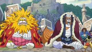 Riunto Saga Di Zo - One Piece
