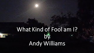 Watch Andy Williams What Kind Of Fool Am I video