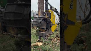 How To Cut With The 1270G Harvester #Harvester #Automobile #Johndeere #Viral #Trending #Tree #Wood