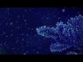 Merry Christmas Snow/楠瀬誠志郎
