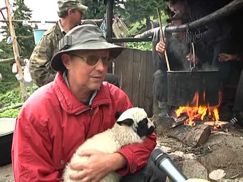 Как сделать козий сыр из козьего молока в домашних условиях Как сделать козий сыр из козьего молока в домашних условиях