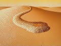bugs bunny - sahara hare dolly bird.flv