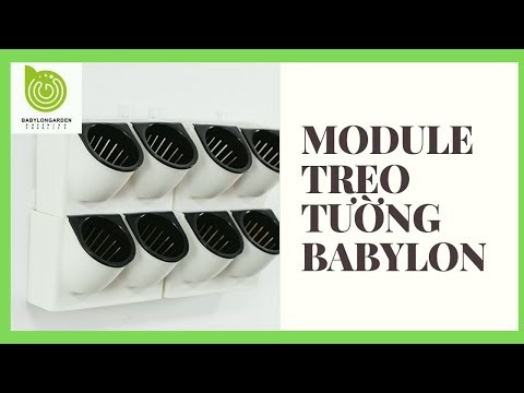 MODULE TREO TƯỜNG BABYLON | Nguyên lý hoạt động | Tranh cây treo tường | Babylon Garden | Vườn Tường