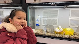 Animals Store So Cute