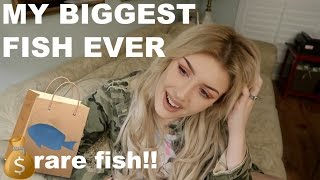 Finally Stocking My 150 Gallon Tank Unboxing Rare Fish