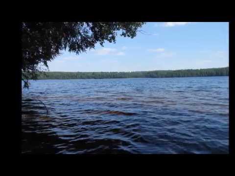 озеро белое курголовский полуостров рыбалка озеро белое курголовский полуостров рыбалка