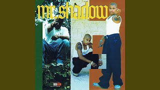 Watch Mr Shadow My Hood To Your Block video