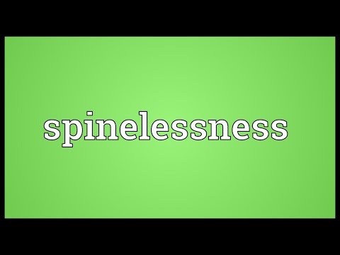 Header of spinelessness