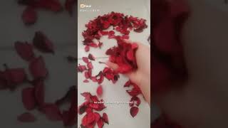 S Harfi Tersten Oynatim Videoaçıklamayı Oku