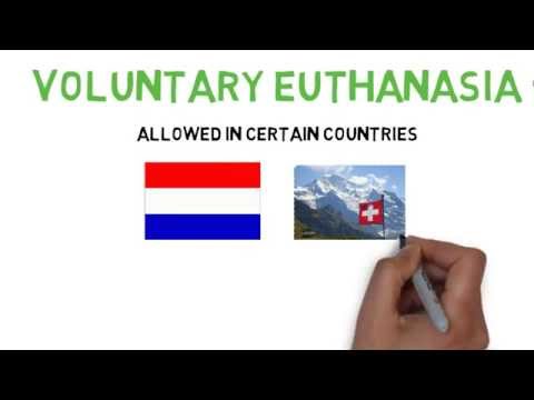 christians feelings about abortion and euthanasia essay christians feelings about abortion and euthanasia essay