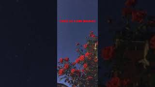 Eren Çapkin-Tahir Ile Zührenazım Hikmet
