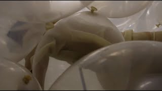 Breath Play 2021 3 Min