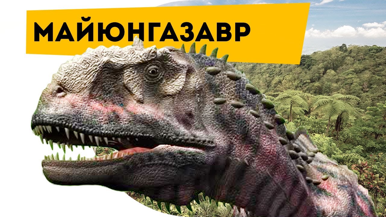 К чему снится Бабушка во сне по 90 сонникам! Если видишь Голосование. Лучше всех!. Первый канал
