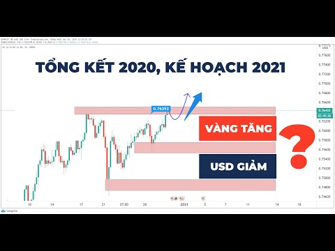 Phân tích cơ bản Forex. TỔNG KẾT 2020 KẾ HOẠCH 2021, GOLD; CAD; USD; JPY; AUD; NZD ?