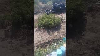 اغروض بنسركاو اكادير