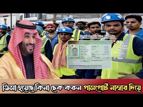 ভিসা হয়েছে কিনা চেক করুন পাসপোর্ট নাম্বার দিয়ে? saudi arabia visa check online.
