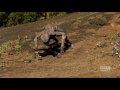 Monsters and Dinosaurs attack! - Primeval - BBC America