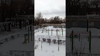 Кто Нибудь Увидел Воробышка На Видео?