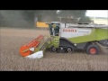 Video The ultimate harvest video...
