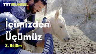 İçimizden Üçümüz Bahar Trt Belgesel