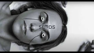 Icon For Hire - Seeds (Official Audio) Visualizer