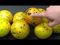 Citrus Black Spot Decontamination Training - Hauler