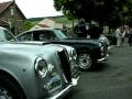Lancia Aurelia's showing of their Borani's