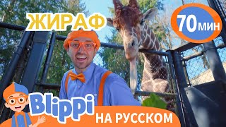 Блиппи В Зоопарке С Животными | Блиппи На Русском