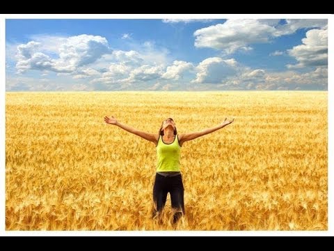 Картинки как сделать машины в майнкрафте Картинки как сделать машины в майнкрафте