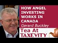 How Angel Investing Works In Canada: Gerard Buckley | Tea At Taxevity #49