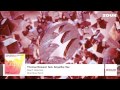 Thomas Newson feat. Angelika Vee - Don't Hold Us (Bixel Boys Remix)
