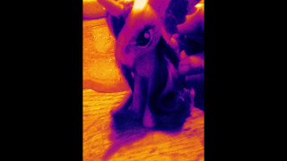 Eye Of The Tigermlp Versionshort