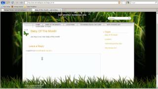 web site by WordPress: static pages for non-blog sites