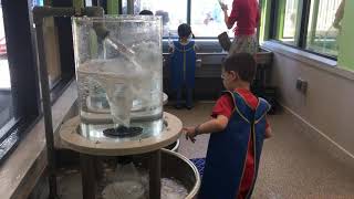 Bellevue Childrens museum