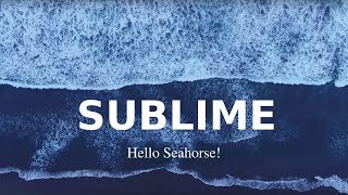 Watch Hello Seahorse Sublime video