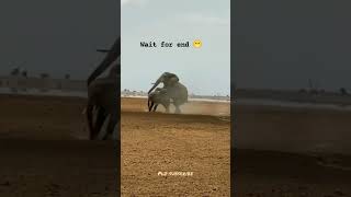 Lion Lovers Elephant Funny Meeting With Baby