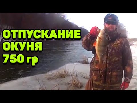 щука на блесну в пахре щука на блесну в пахре