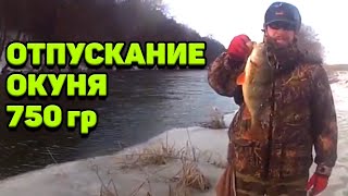 ловля окуня в заливе видео ловля окуня в заливе видео
