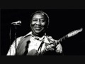 Lonesome Road Blues - Muddy Waters