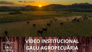 GALU AGROPECUÁRIA: Um pouco da gente para vocês: Vídeo Institucional