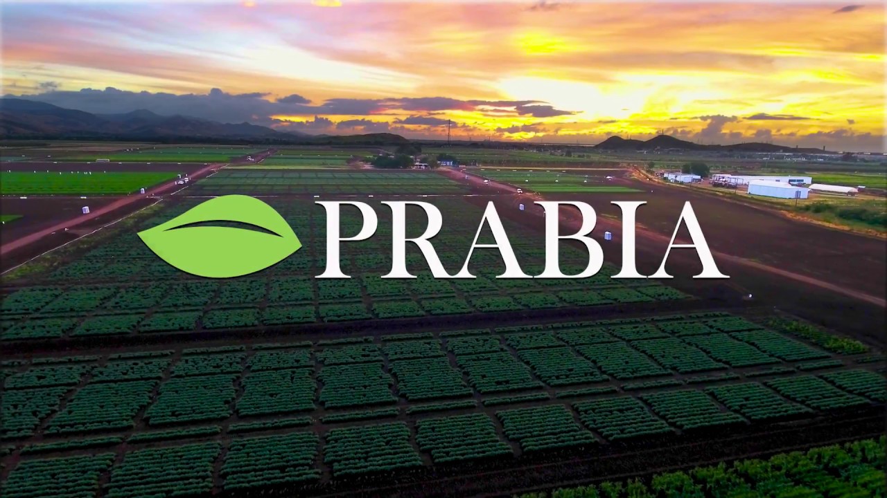 PRABIA Empleado 1